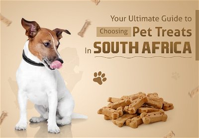 Pet Treats In South Africa